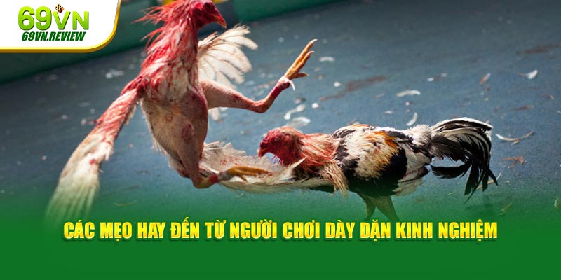 Các mẹo hay đến từ người chơi dày dặn kinh nghiệm 