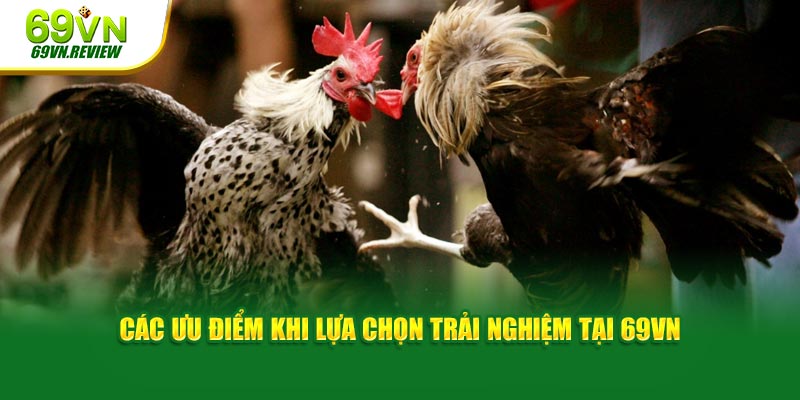 Các ưu điểm khi lựa chọn trải nghiệm tại 69VN 