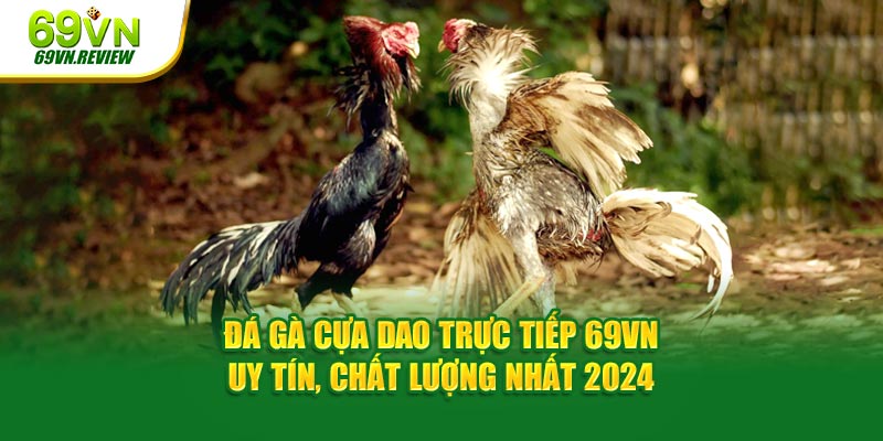 Đá Gà Cựa Dao Trực Tiếp 69VN